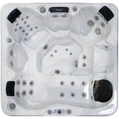 Avalon EC-849L hot tubs for sale in Fremont