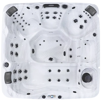 Avalon EC-867L hot tubs for sale in Fremont